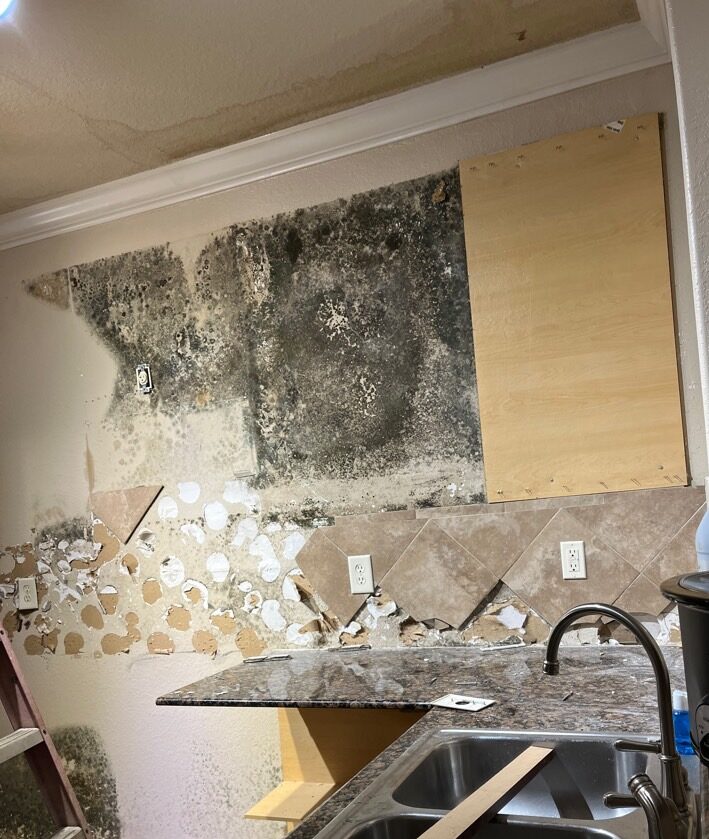 Hidden mold growing in Lakeland Florida home behind kitchen cabinets and backsplash