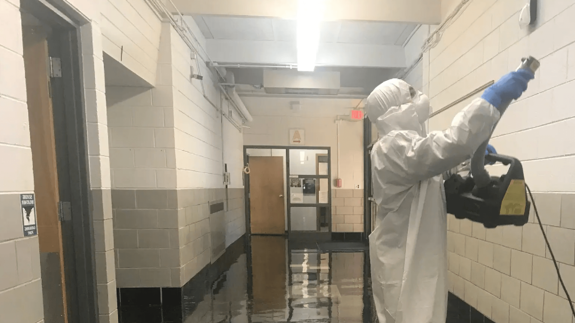 Illustration of Commercial Mold Abatement Services