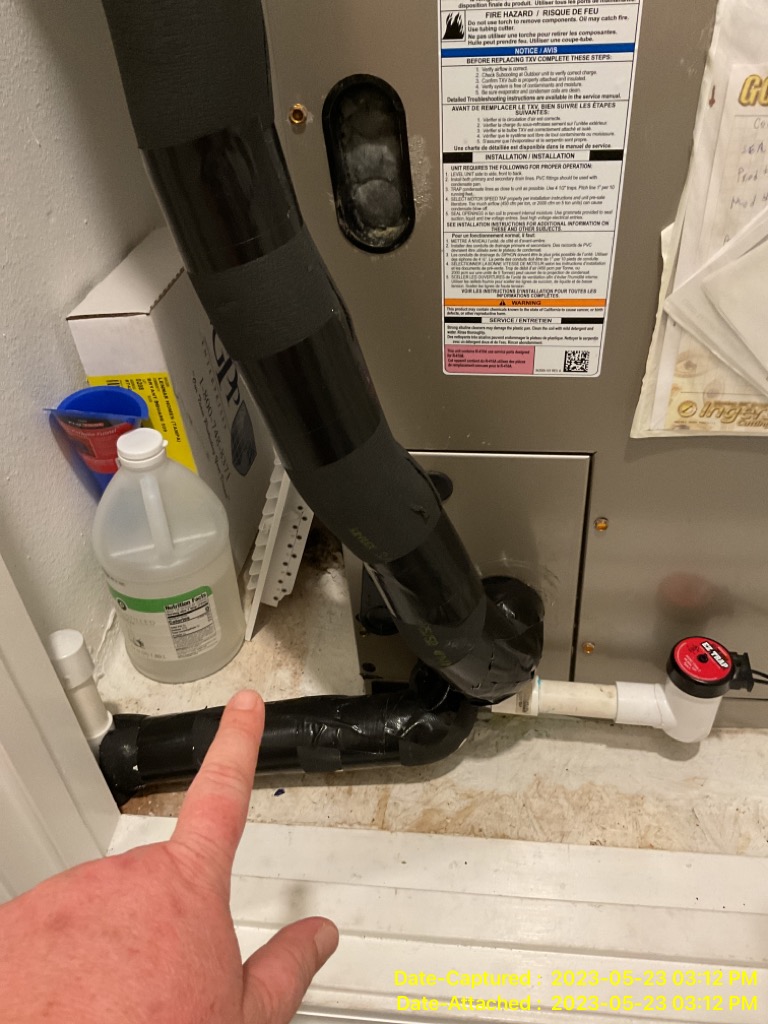 water damage and mold growth in New Port Richey Florida home